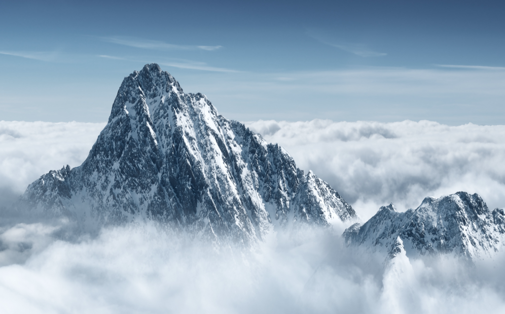 RealUnit Berg